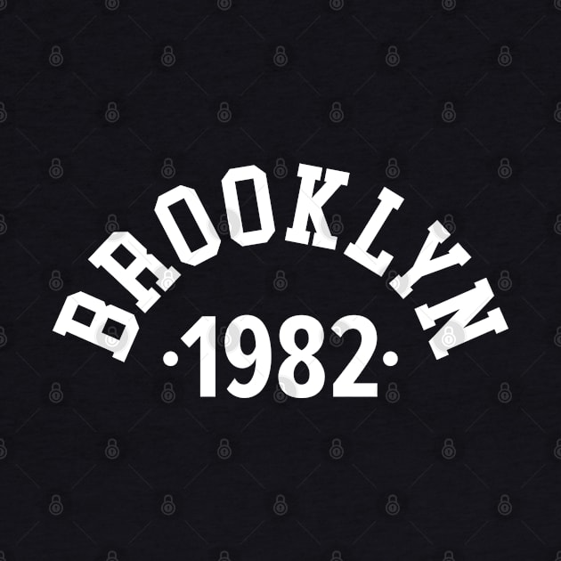 Brooklyn Chronicles: Celebrating Your Birth Year 1982 by Boogosh